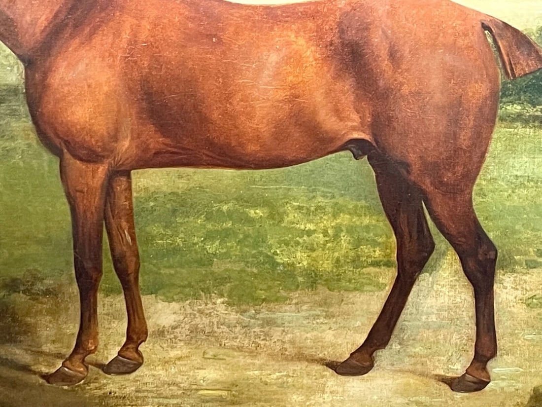 Georgian Oil Painting Bay Race Horse Partisan Bred By 4th Duke of Grafton C1827 - 7