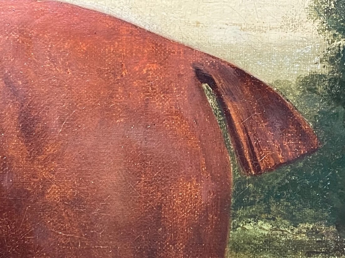 Georgian Oil Painting Bay Race Horse Partisan Bred By 4th Duke of Grafton C1827 - 8