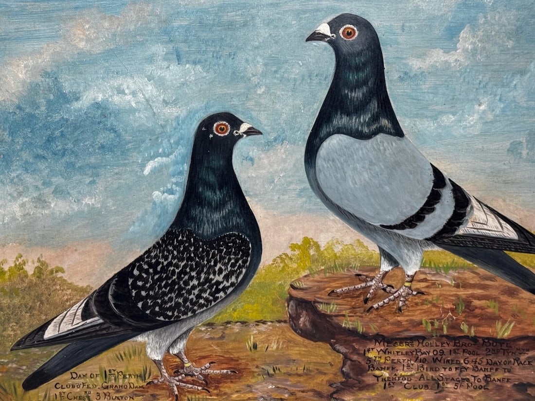Holley Brothers of Bute Racing Pigeons — Whitley Bay 1909 Winners Oil Portrait - 11