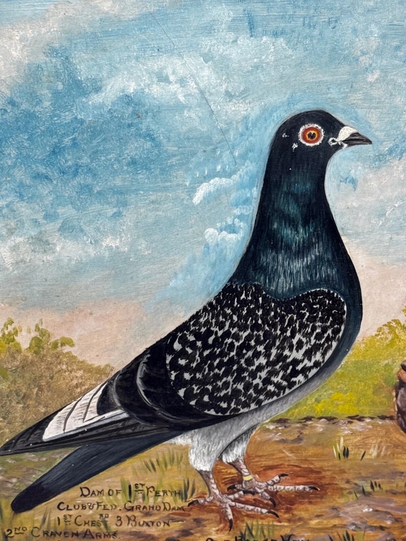 Holley Brothers of Bute Racing Pigeons — Whitley Bay 1909 Winners Oil Portrait - 12