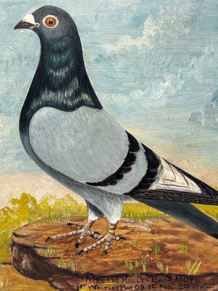 Holley Brothers of Bute Racing Pigeons — Whitley Bay 1909 Winners Oil Portrait - 17