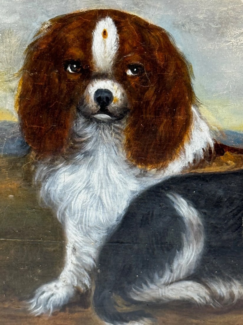 British 19th Century Oil Painting Animal Portrait Of King Charles Spaniel Dogs - 11