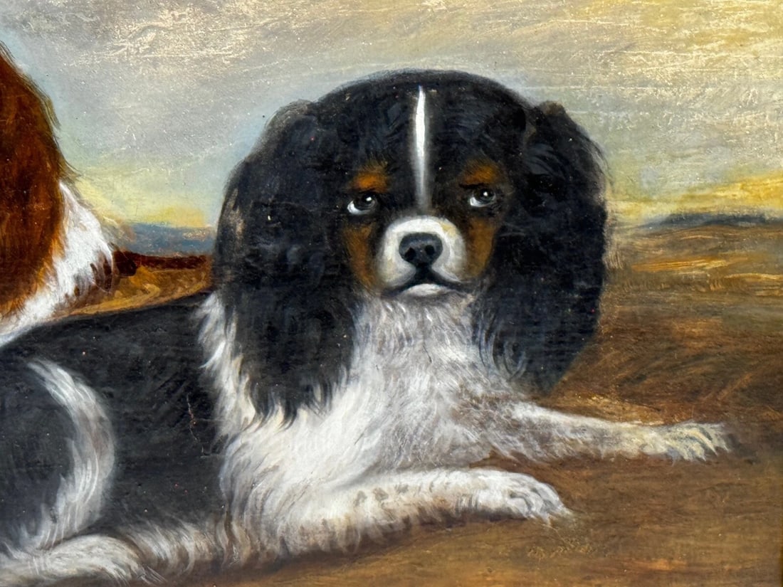 British 19th Century Oil Painting Animal Portrait Of King Charles Spaniel Dogs - 12