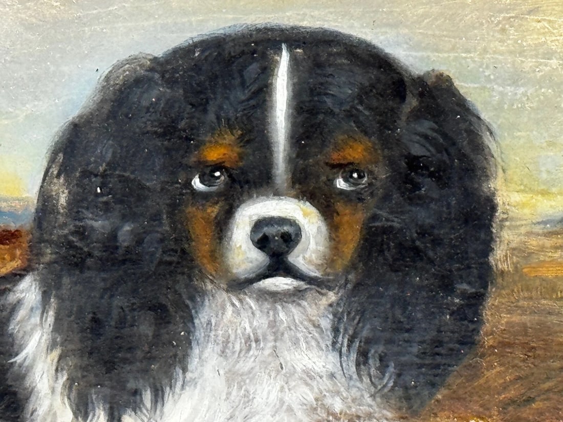 British 19th Century Oil Painting Animal Portrait Of King Charles Spaniel Dogs - 13