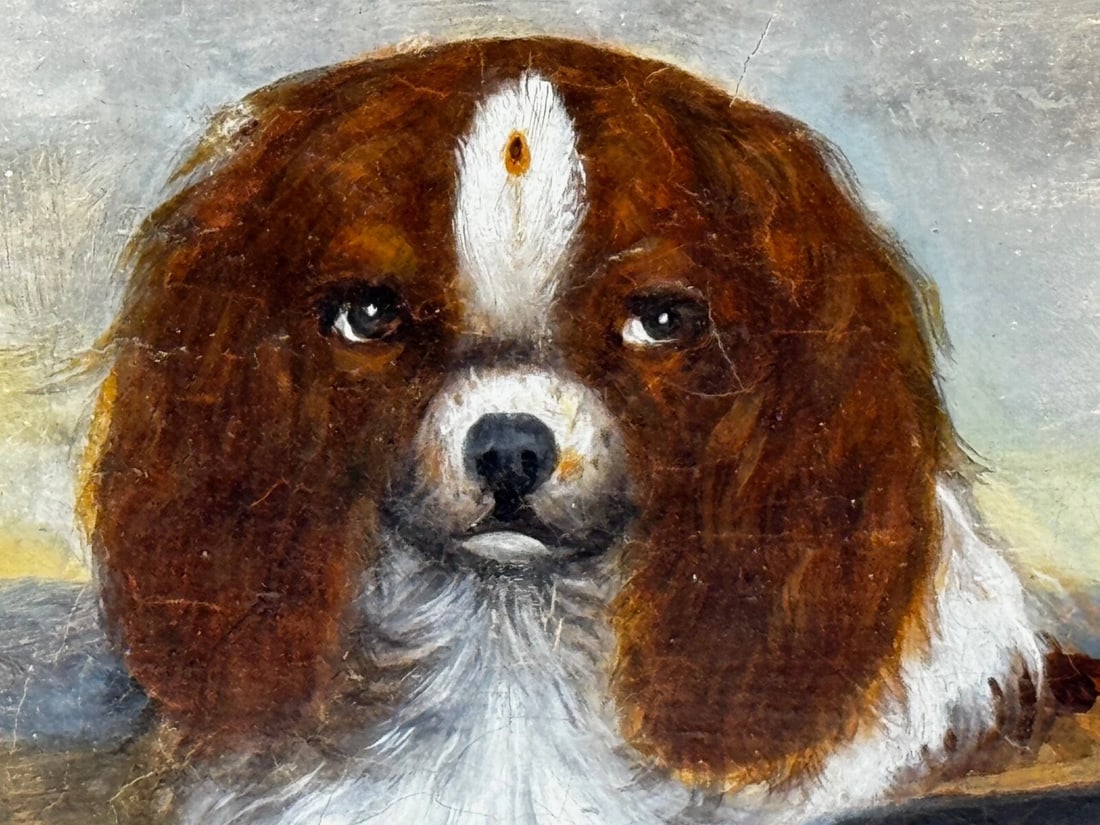 British 19th Century Oil Painting Animal Portrait Of King Charles Spaniel Dogs - 14