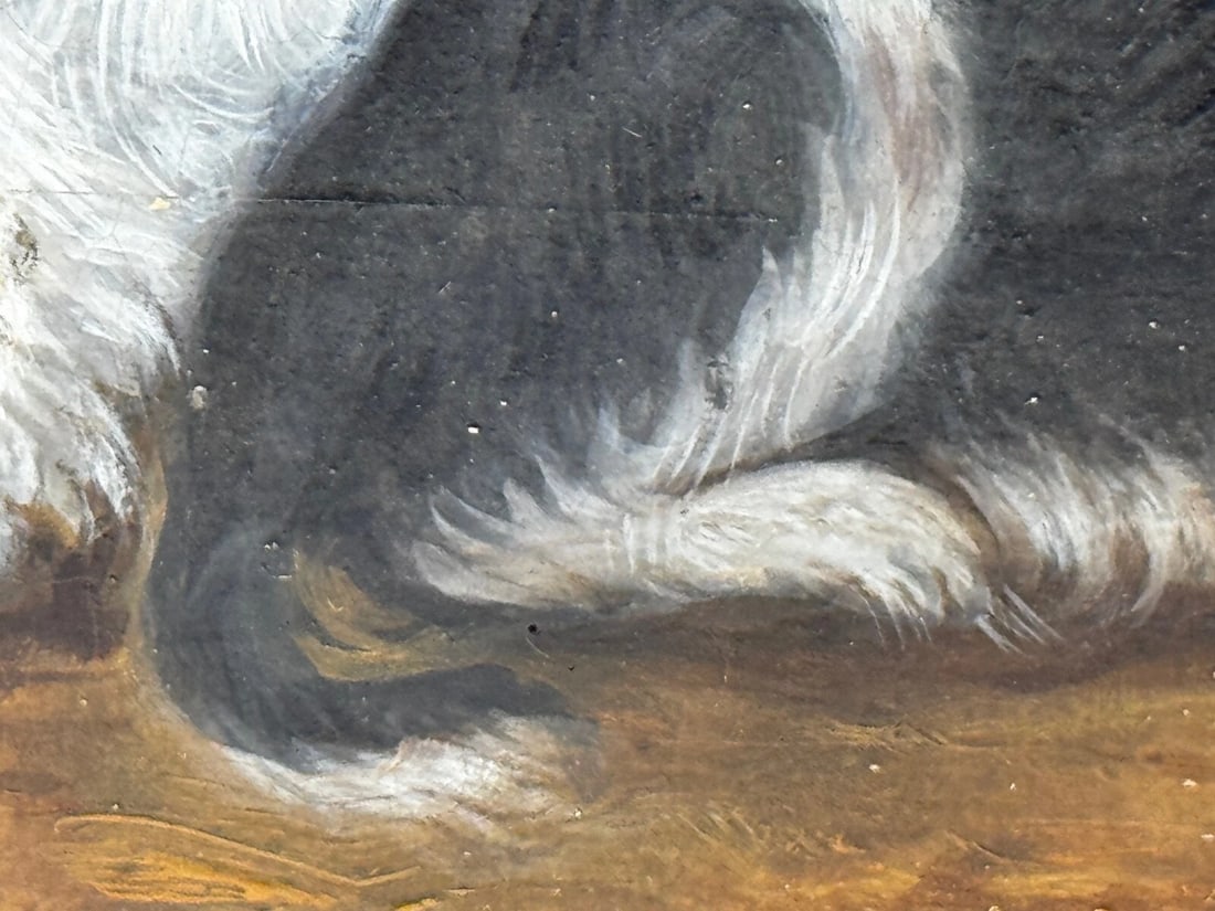 British 19th Century Oil Painting Animal Portrait Of King Charles Spaniel Dogs - 15