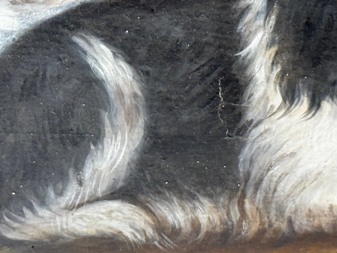 British 19th Century Oil Painting Animal Portrait Of King Charles Spaniel Dogs - 16