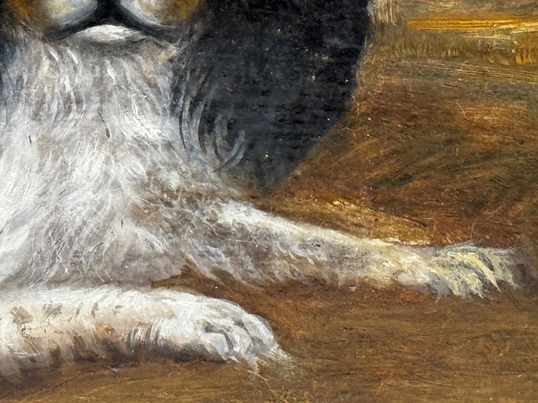British 19th Century Oil Painting Animal Portrait Of King Charles Spaniel Dogs - 17