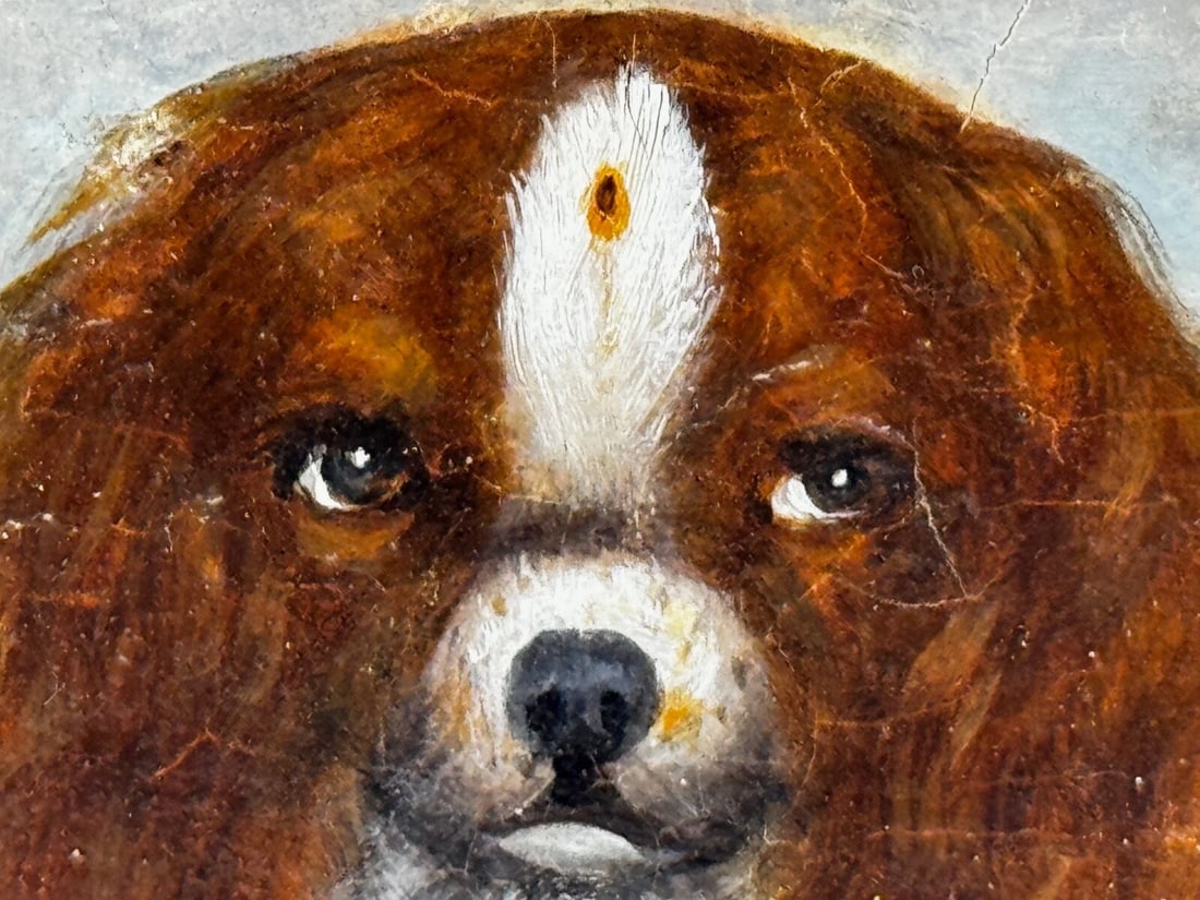 British 19th Century Oil Painting Animal Portrait Of King Charles Spaniel Dogs - 20