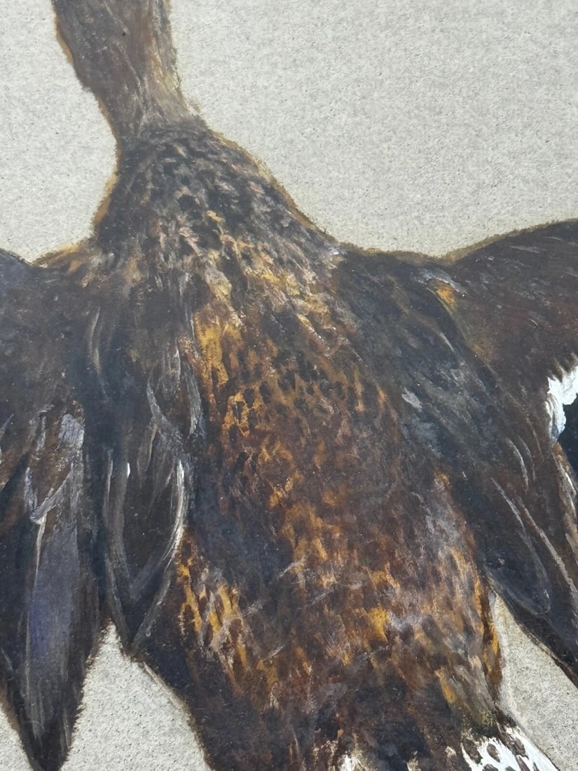 Victorian Painting Sporting Game Birds Two Ducks Flying Away By Thomas Blinks - 12