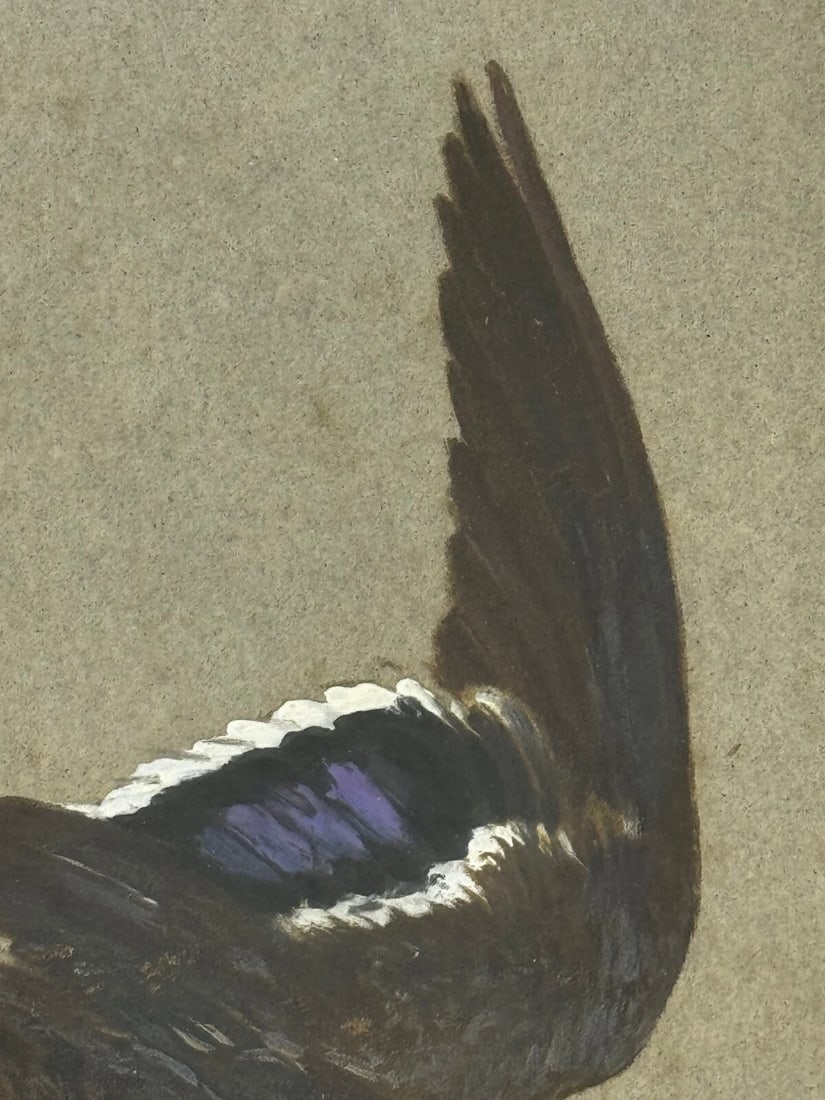 Victorian Painting Sporting Game Birds Two Ducks Flying Away By Thomas Blinks - 17