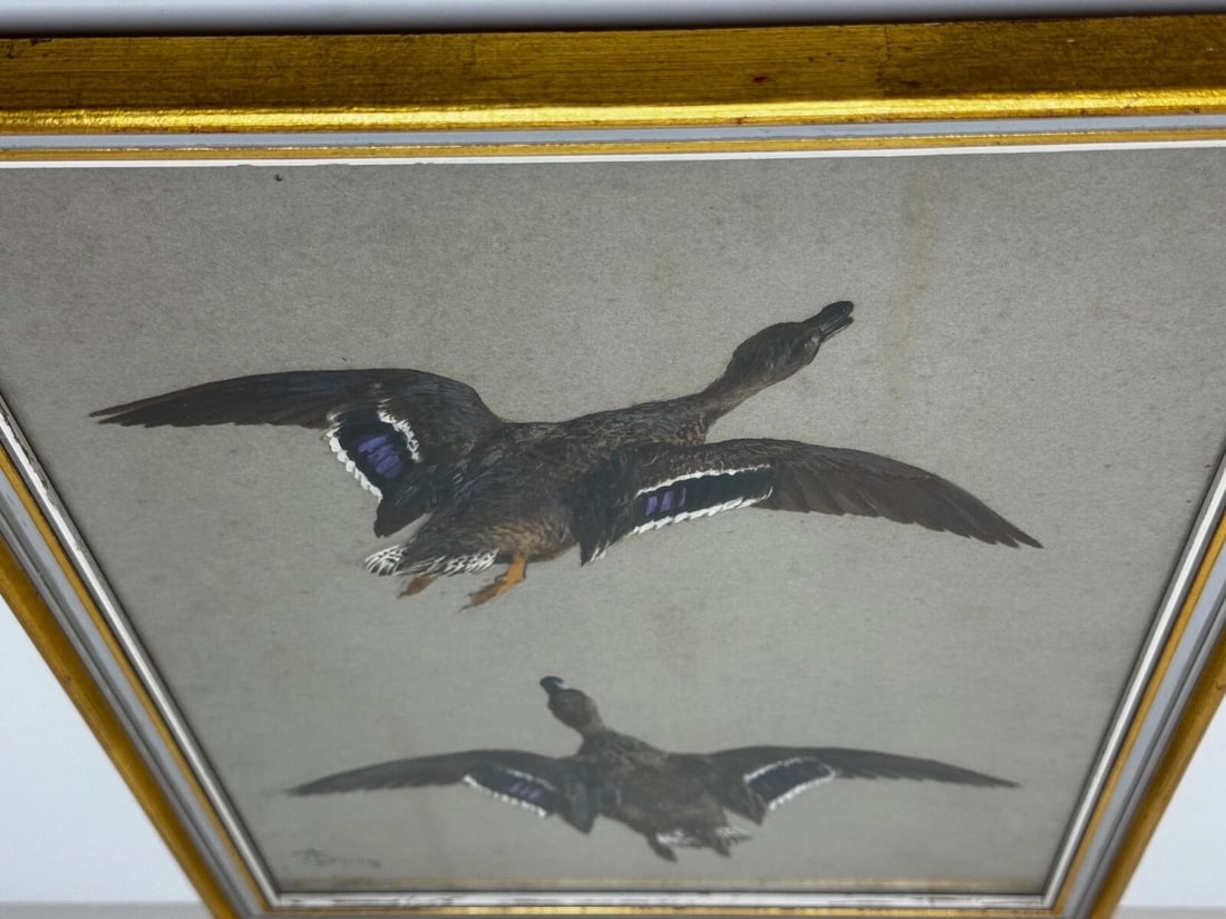Victorian Painting Sporting Game Birds Two Ducks Flying Away By Thomas Blinks - 19