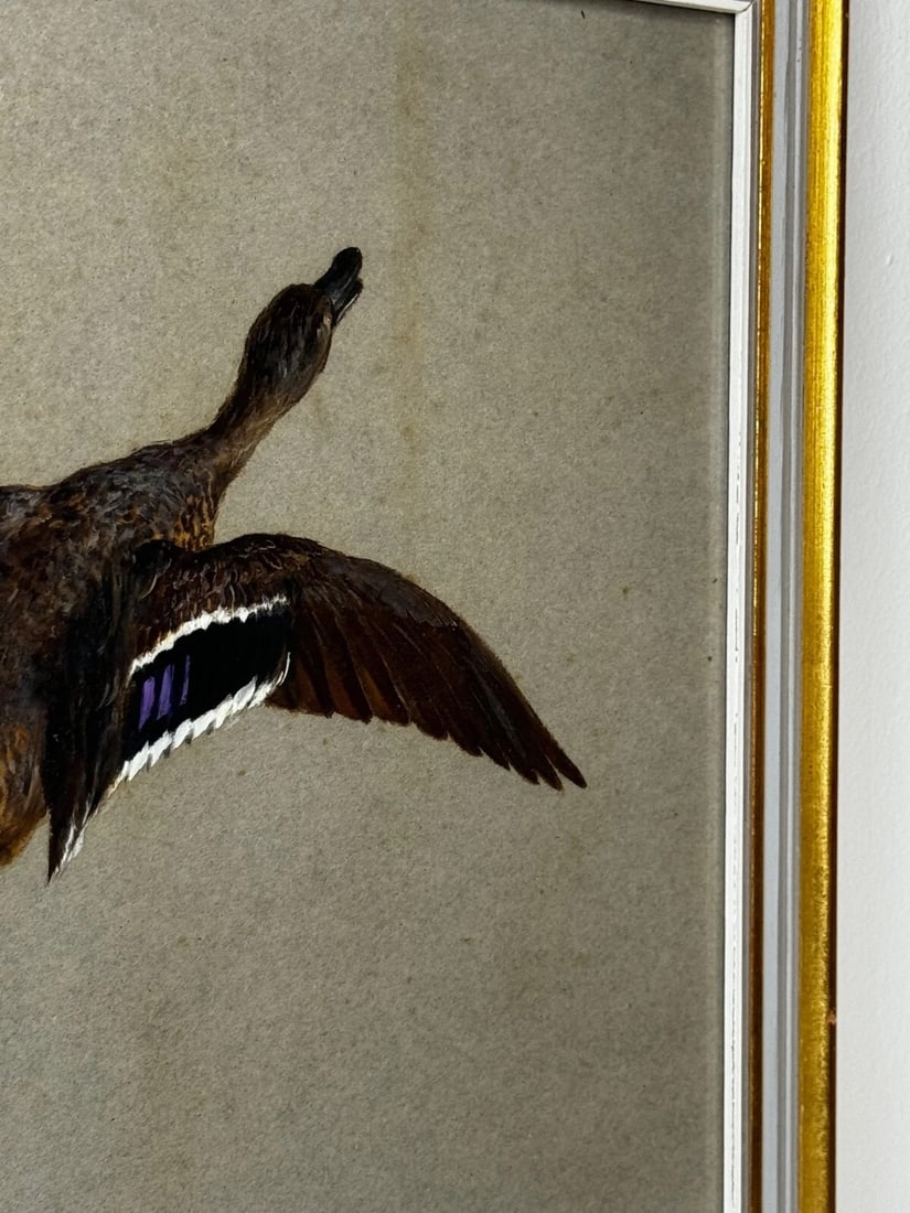 Victorian Painting Sporting Game Birds Two Ducks Flying Away By Thomas Blinks - 5