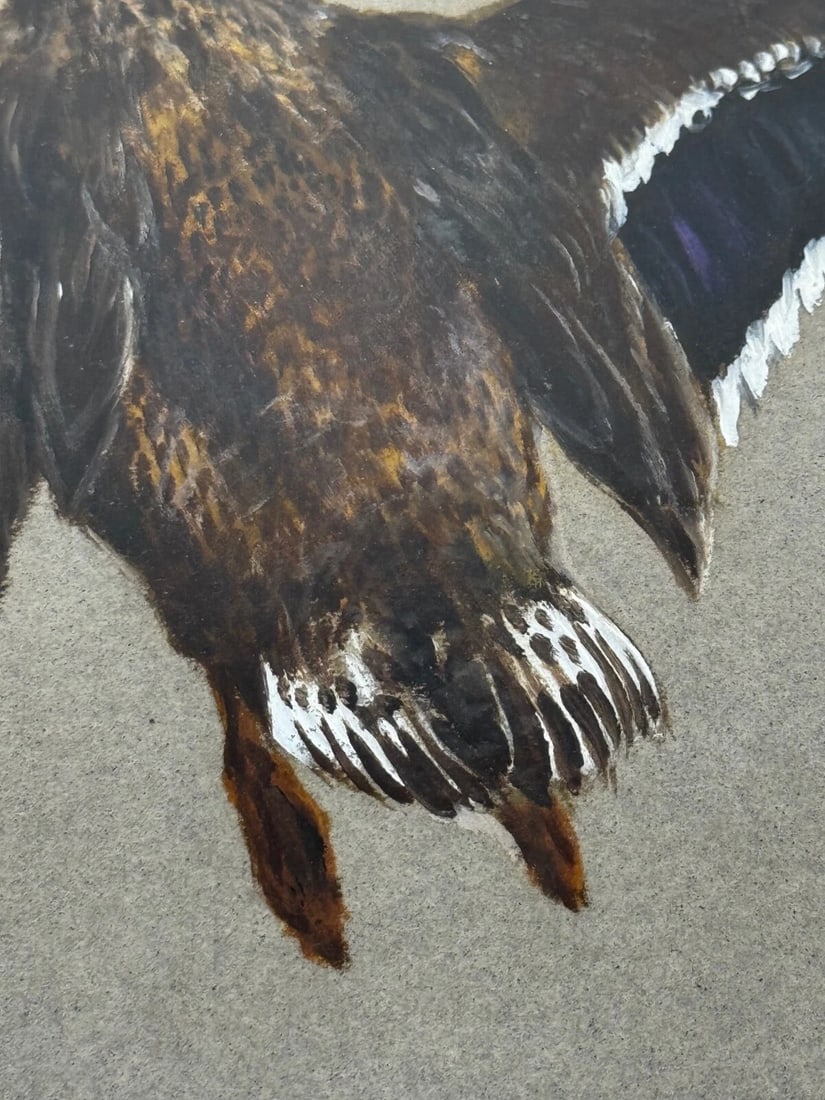 Victorian Painting Sporting Game Birds Two Ducks Flying Away By Thomas Blinks - 9