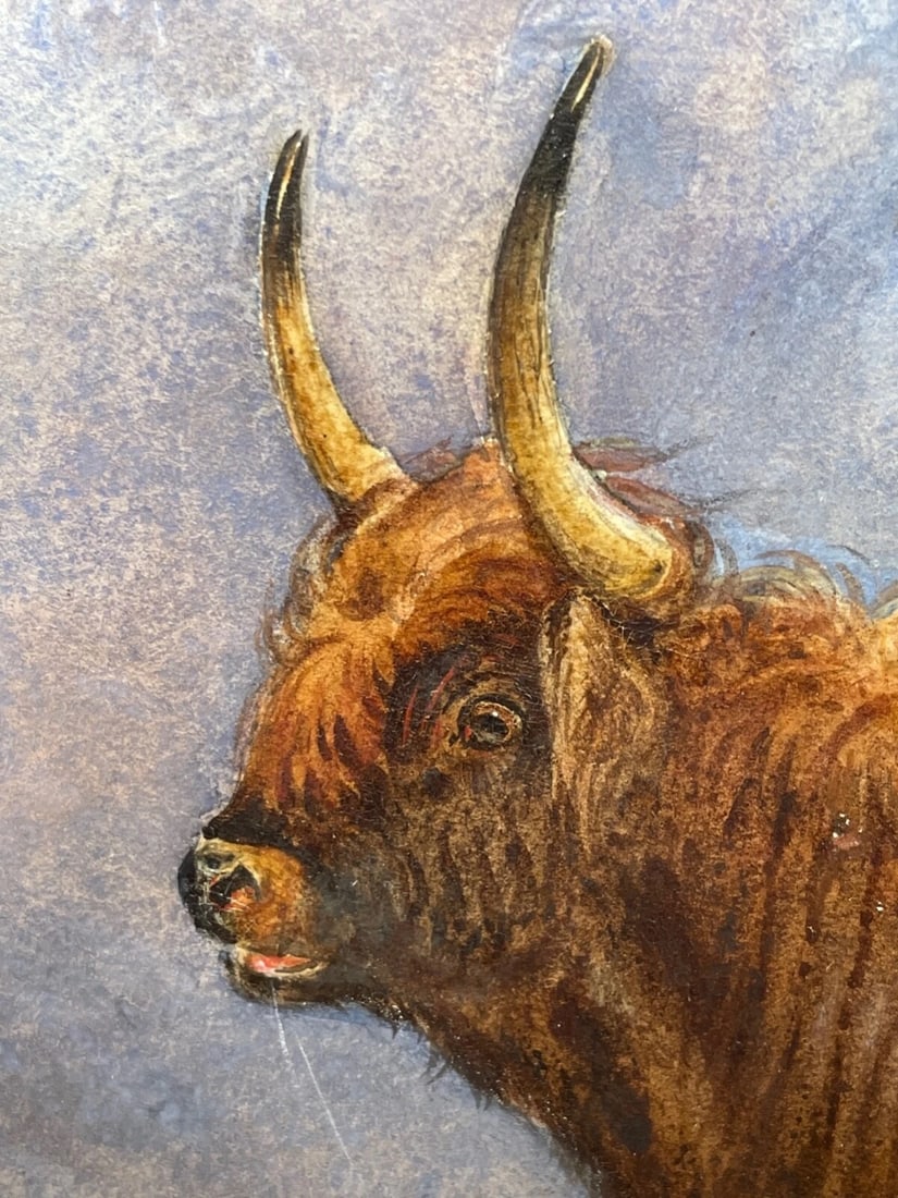 19th Century Scottish Highland Painting Cattle By Aster Richard Chilton Corbould - 7