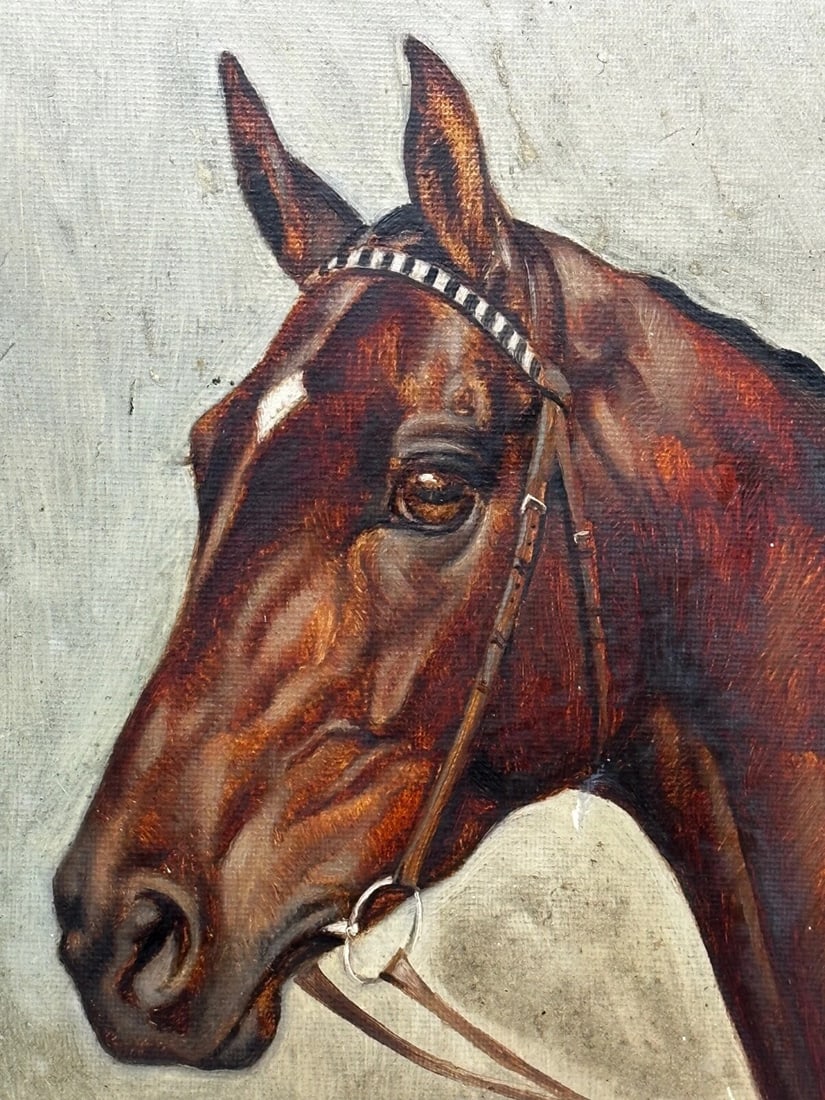 Equine Portrait of Champion Racehorse Craig an Eran by Walter Herbert Wheeler - 13