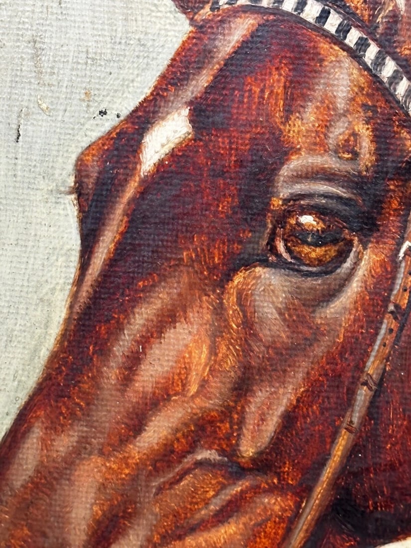 Equine Portrait of Champion Racehorse Craig an Eran by Walter Herbert Wheeler - 15