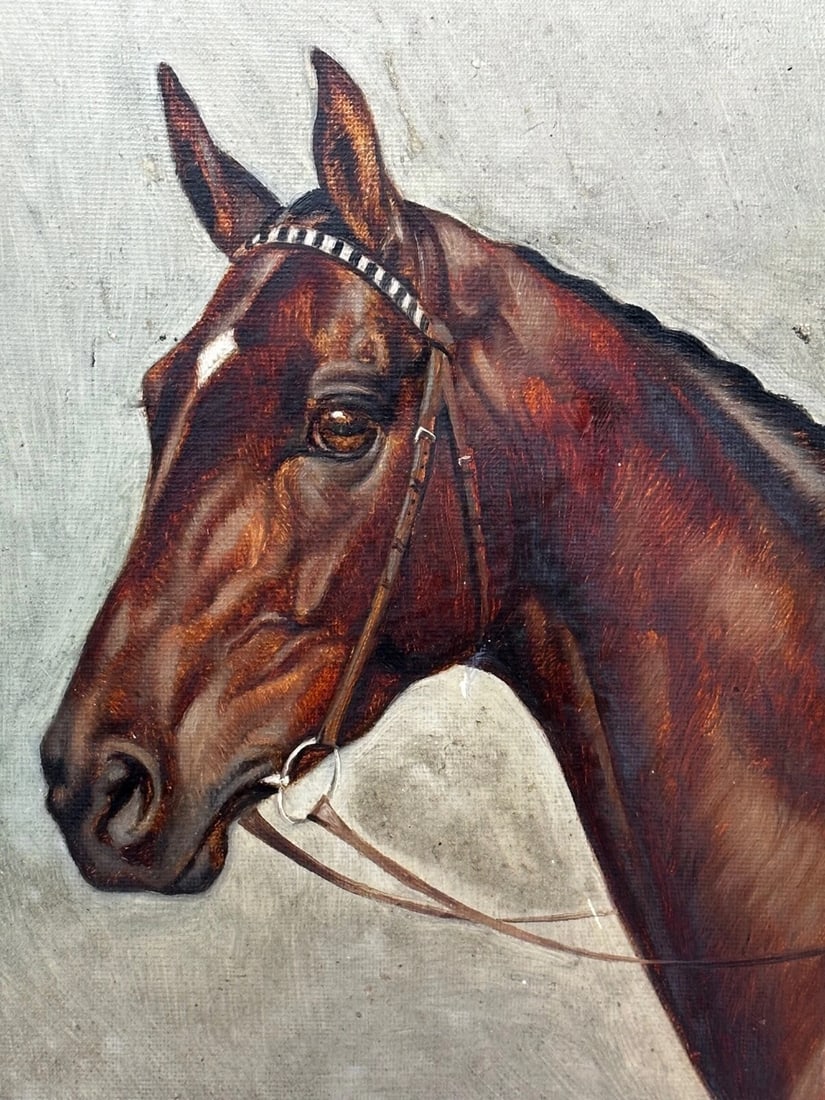 Equine Portrait of Champion Racehorse Craig an Eran by Walter Herbert Wheeler - 2