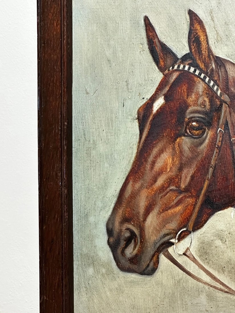 Equine Portrait of Champion Racehorse Craig an Eran by Walter Herbert Wheeler - 4