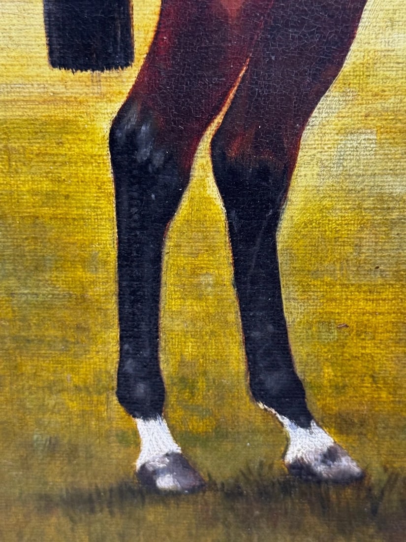 Master Walter Winner Governor’s Cup Colombo Races c1894 in the Manner Harry Hall - 12