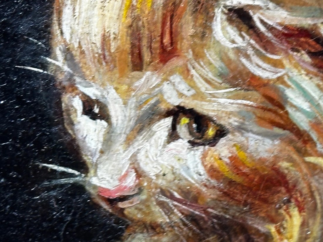 Oil Painting Kitten Patience Hunting Fly By Francisco José Domingo y Marqués - 10