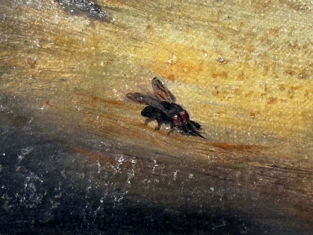 Oil Painting Kitten Patience Hunting Fly By Francisco José Domingo y Marqués - 6