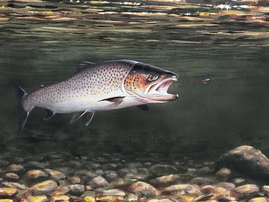 Sporting Painting Sea Trout Nearly Hooked The Silver Zulu Fly By Roger McPhail - 2