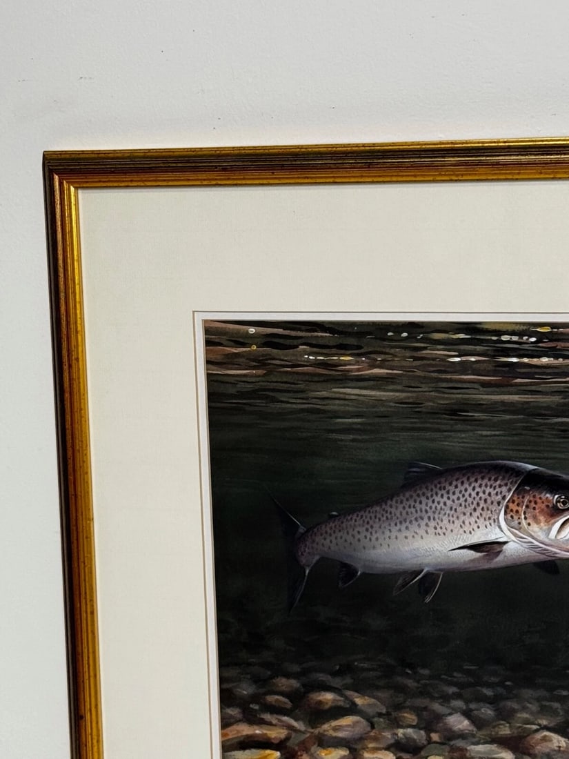 Sporting Painting Sea Trout Nearly Hooked The Silver Zulu Fly By Roger McPhail - 3