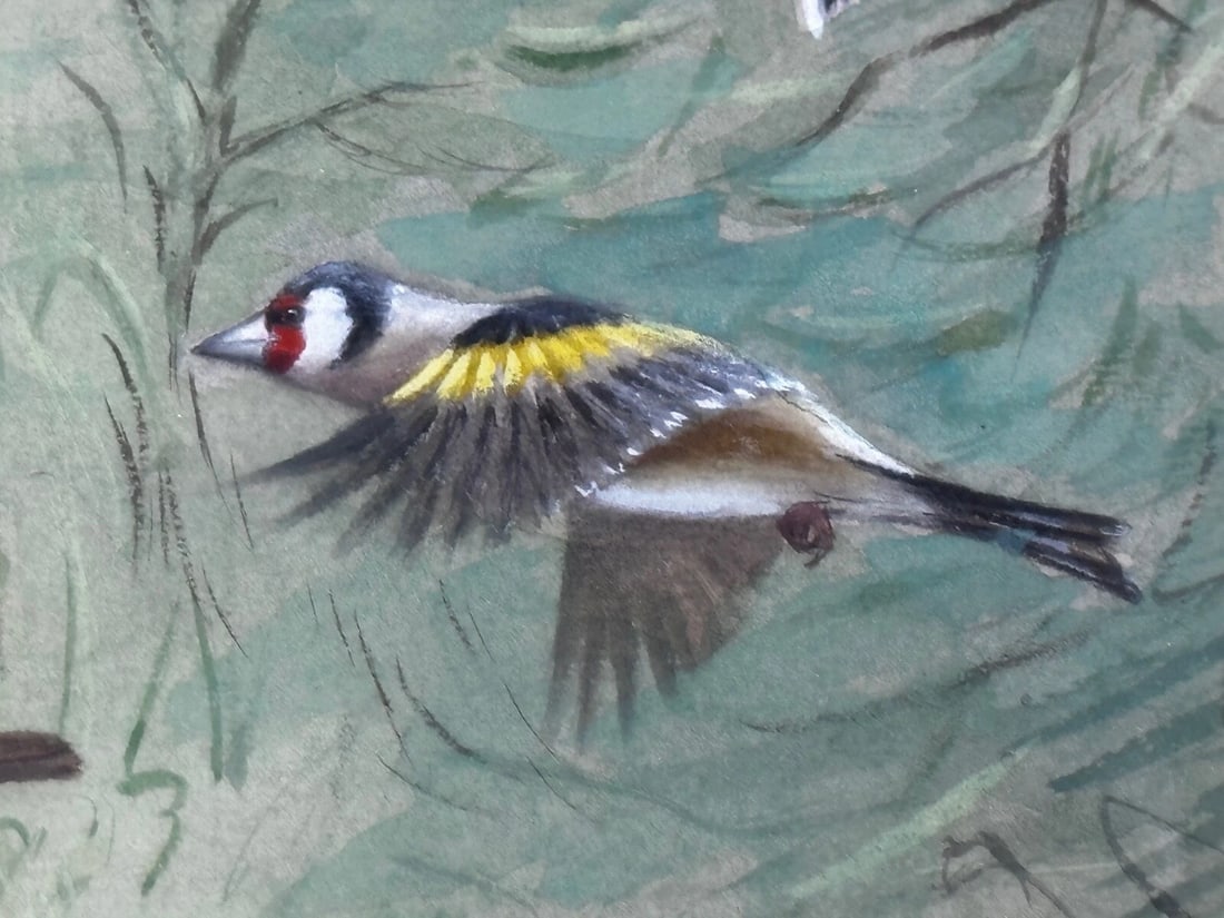 A Winter Gathering Robin & Mixed British Songbirds Manner of Archibald Thorburn - 10