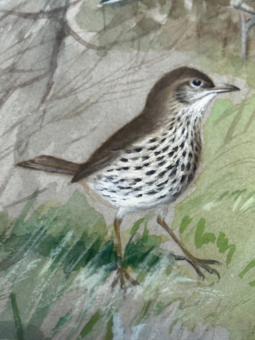 A Winter Gathering Robin & Mixed British Songbirds Manner of Archibald Thorburn - 11