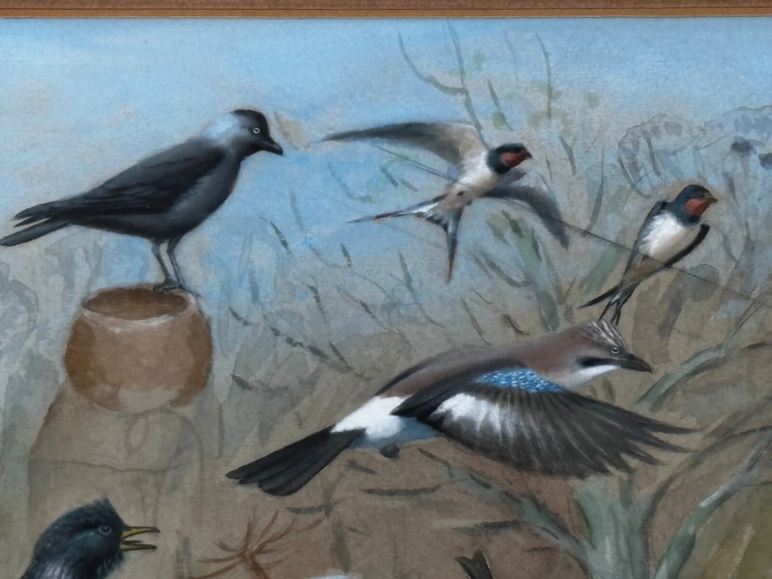 A Winter Gathering Robin & Mixed British Songbirds Manner of Archibald Thorburn - 16