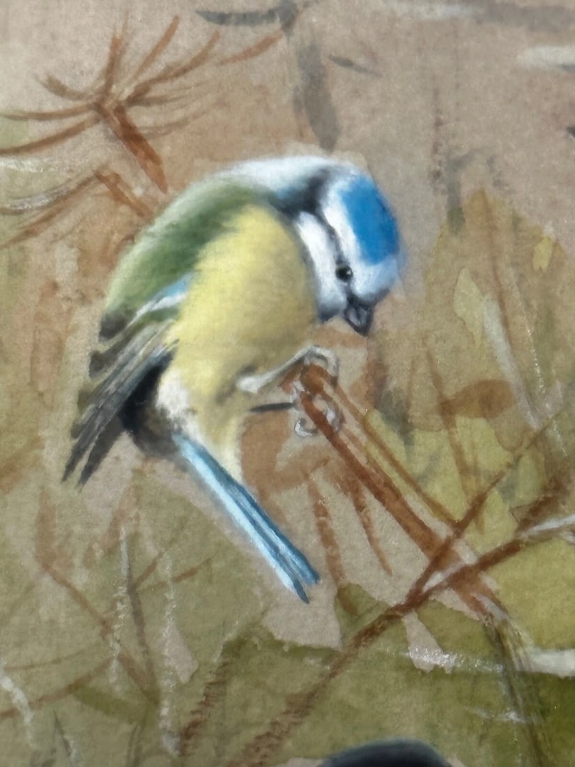 A Winter Gathering Robin & Mixed British Songbirds Manner of Archibald Thorburn - 18