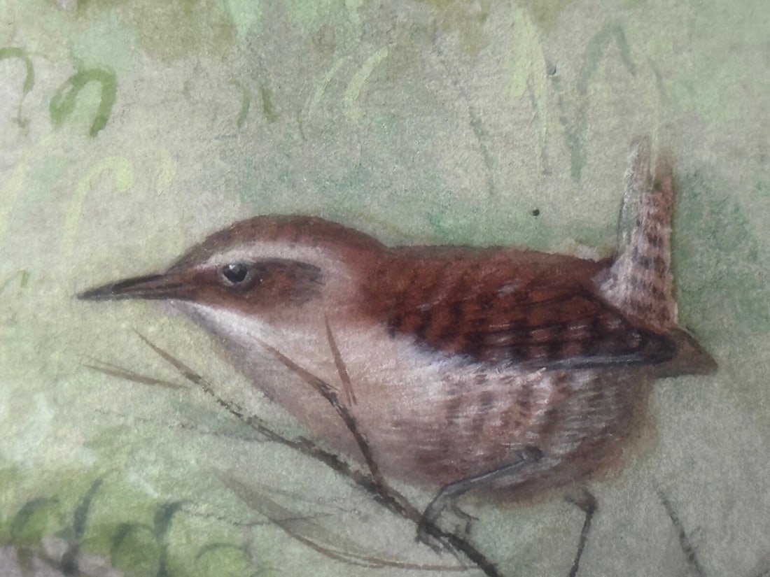 A Winter Gathering Robin & Mixed British Songbirds Manner of Archibald Thorburn - 19