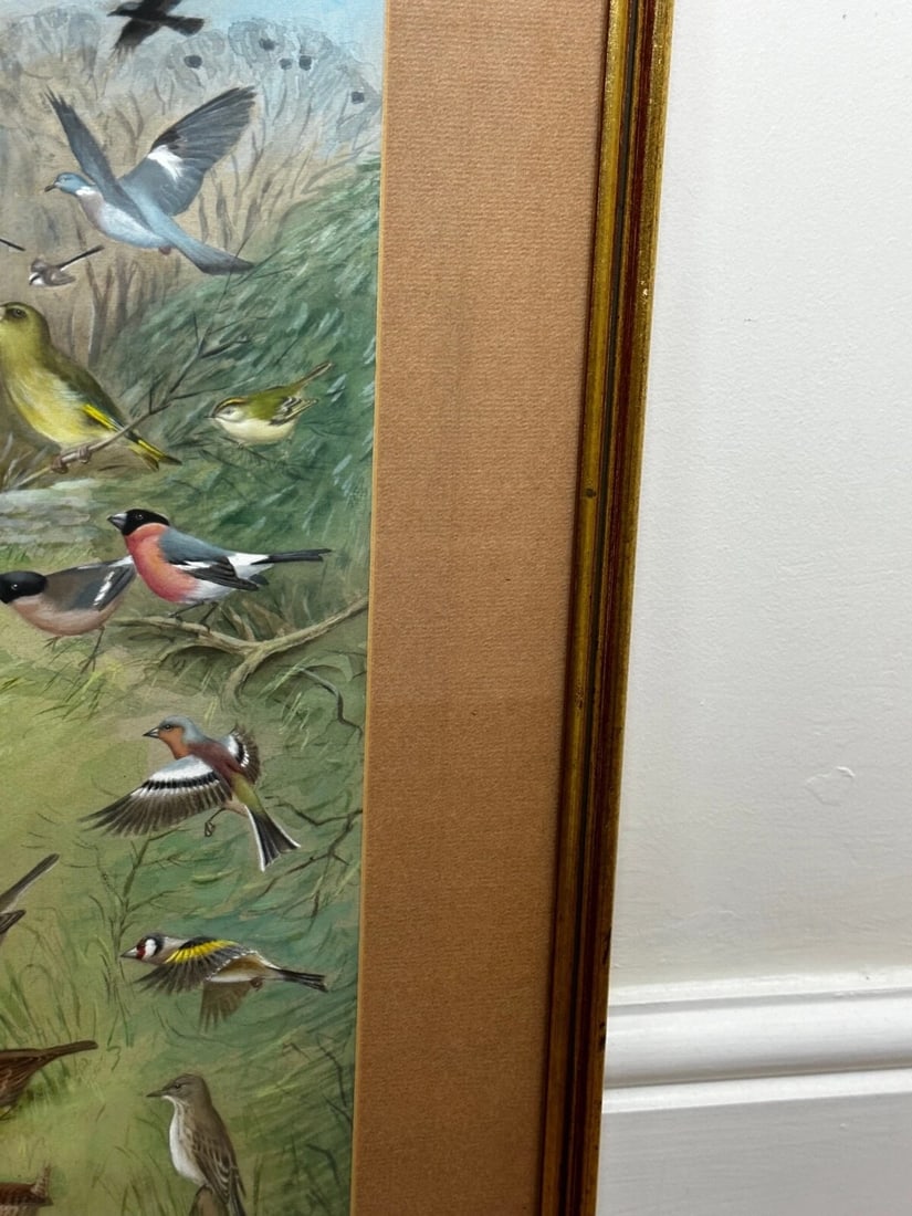 A Winter Gathering Robin & Mixed British Songbirds Manner of Archibald Thorburn - 3