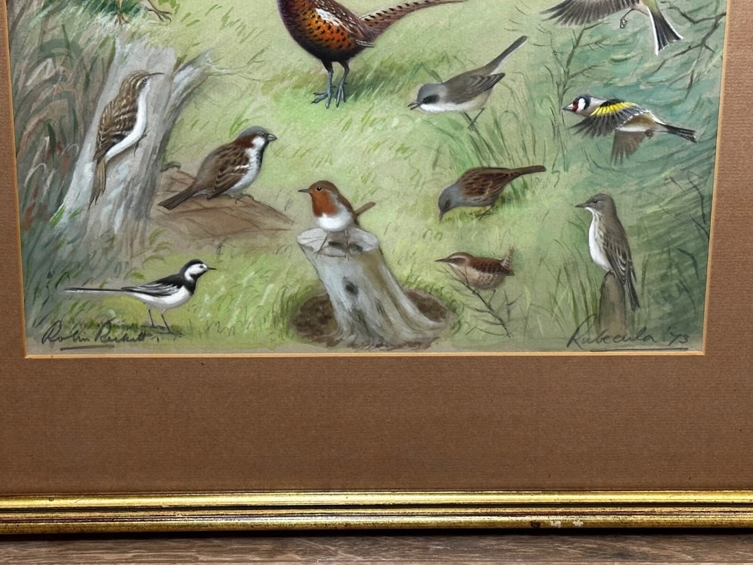 A Winter Gathering Robin & Mixed British Songbirds Manner of Archibald Thorburn - 4