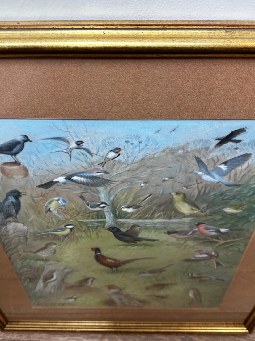 A Winter Gathering Robin & Mixed British Songbirds Manner of Archibald Thorburn - 5