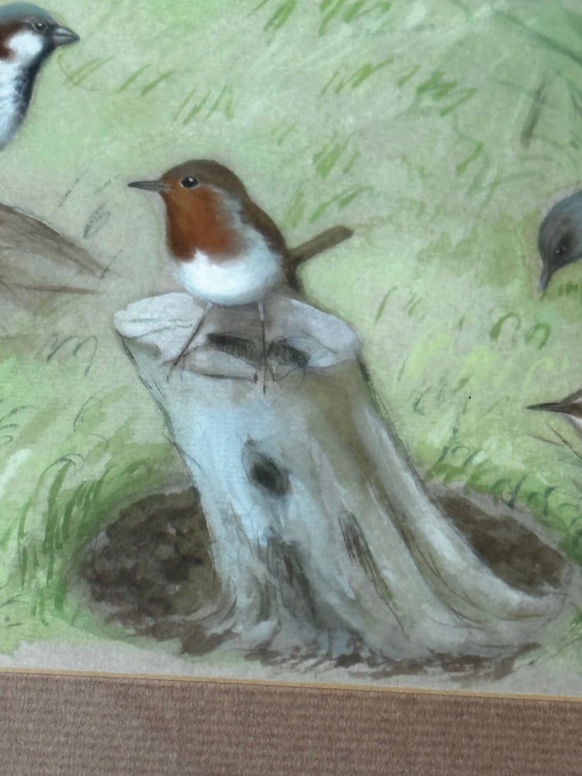 A Winter Gathering Robin & Mixed British Songbirds Manner of Archibald Thorburn - 7