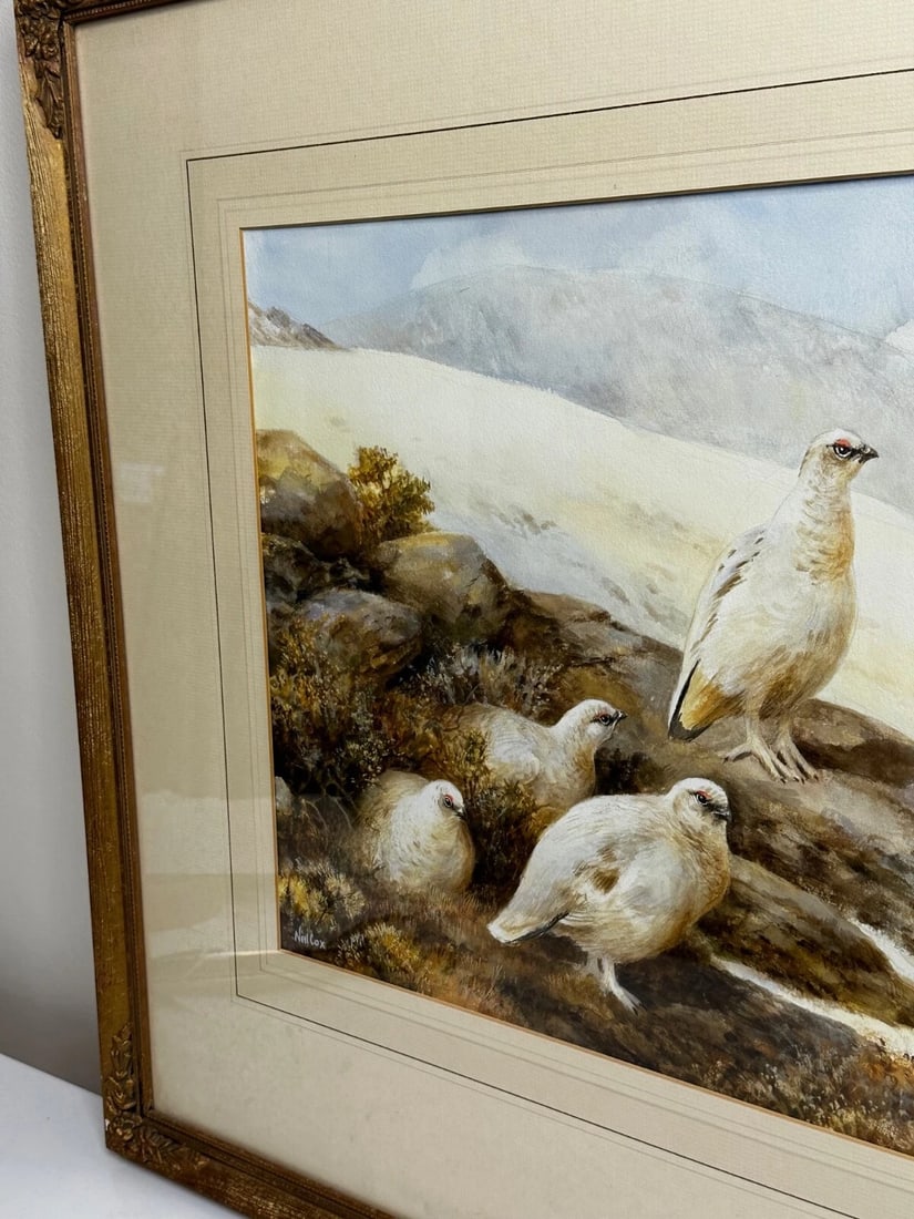 British Painting Highland Moors Wildlife Covey Of Ptarmigan Game Birds On Alert - 12