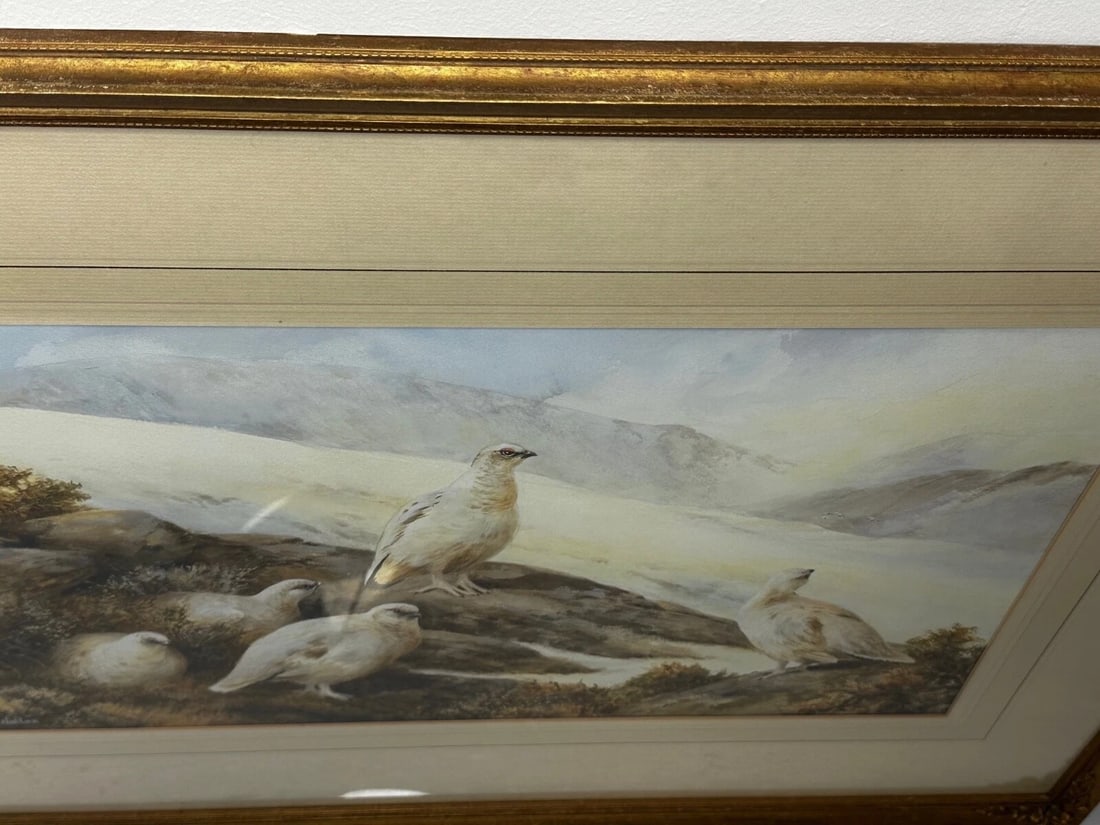 British Painting Highland Moors Wildlife Covey Of Ptarmigan Game Birds On Alert - 13