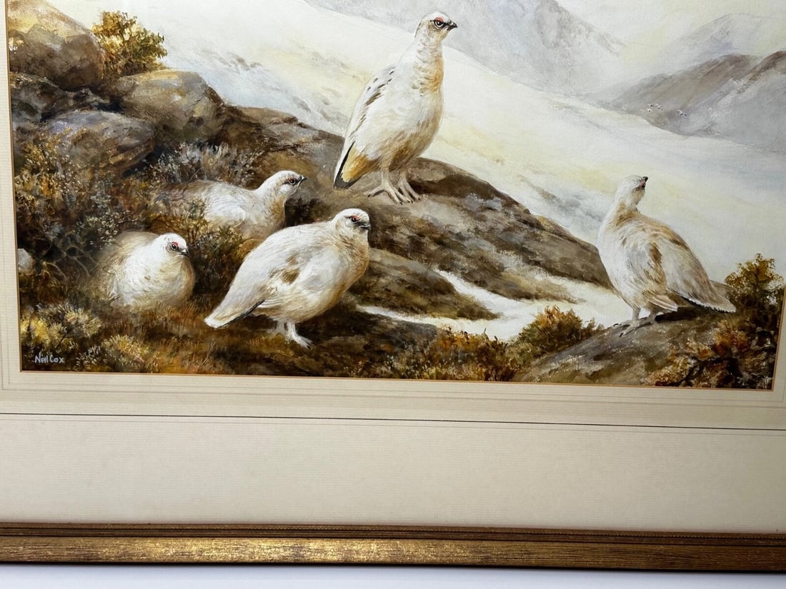 British Painting Highland Moors Wildlife Covey Of Ptarmigan Game Birds On Alert - 8