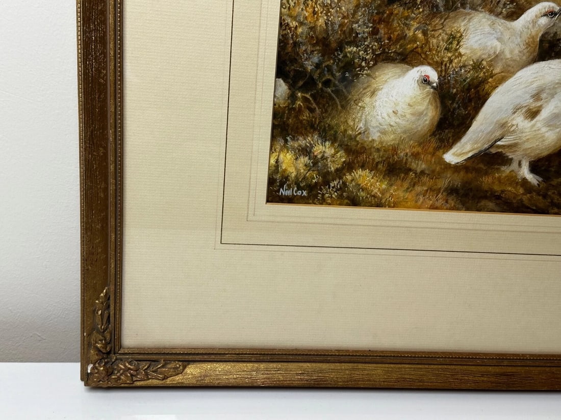 British Painting Highland Moors Wildlife Covey Of Ptarmigan Game Birds On Alert - 9