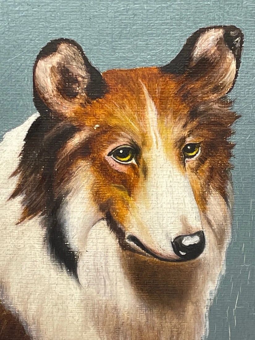 Oil Painting Portrait Scottish Rough Collie Dogs Follower Benedict Angell Hyland - 12