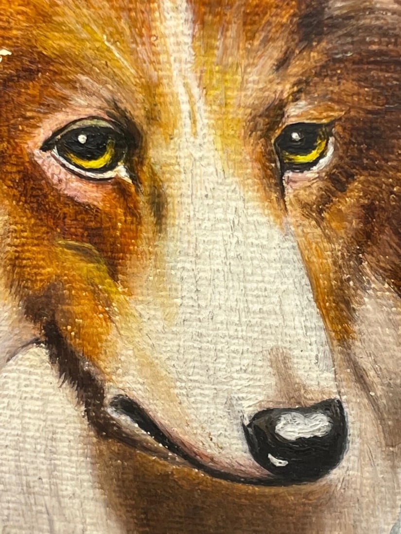 Oil Painting Portrait Scottish Rough Collie Dogs Follower Benedict Angell Hyland - 13