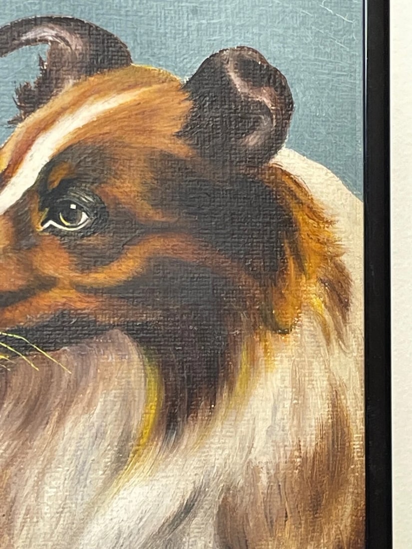 Oil Painting Portrait Scottish Rough Collie Dogs Follower Benedict Angell Hyland - 4