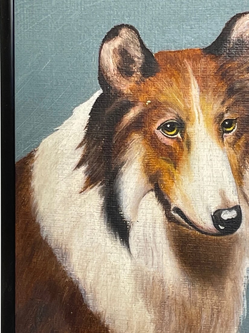 Oil Painting Portrait Scottish Rough Collie Dogs Follower Benedict Angell Hyland - 5
