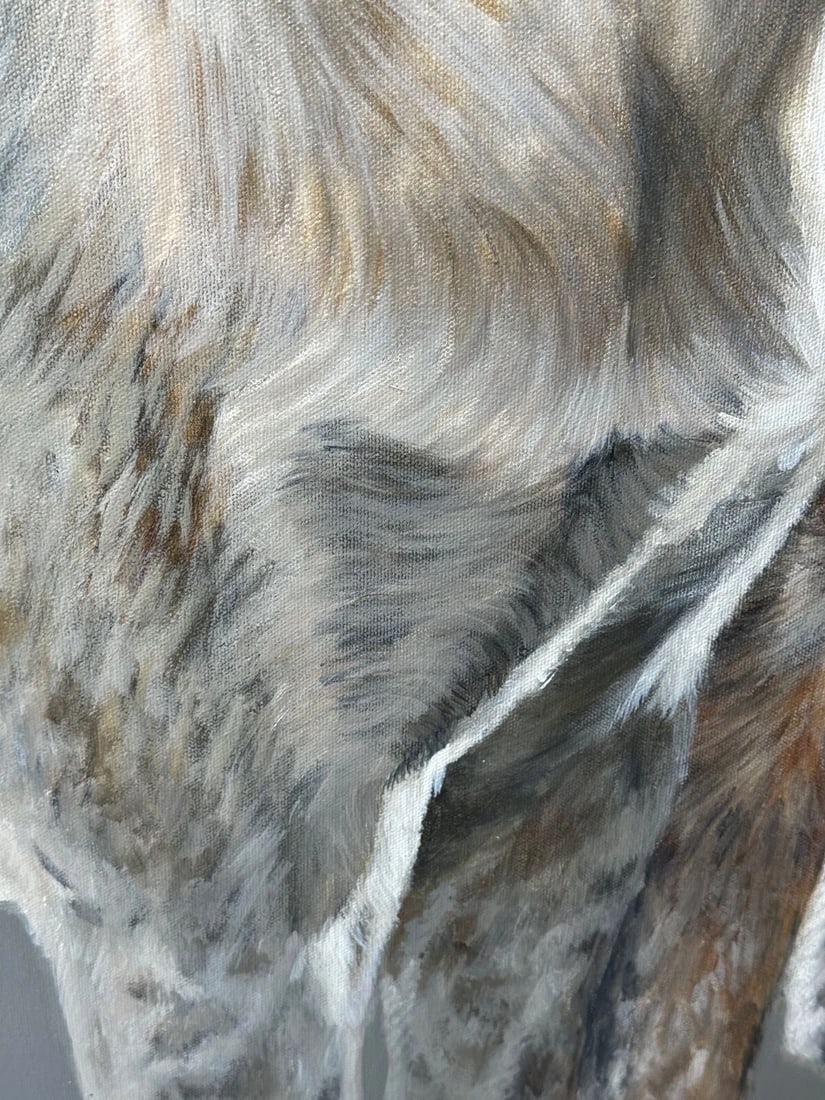 Large Hunting Portrait Oil Painting Dog Pack Of Scent Foxhounds At Berkeley Hunt - 15