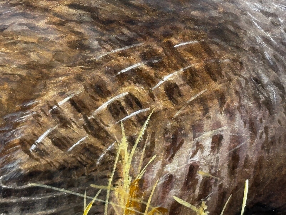 Game Birds Grey Partridges – New Forest Moor In the Manner of Archibald Thorburn - 15