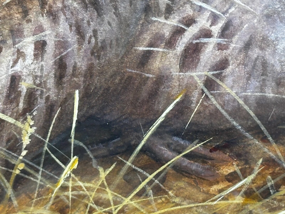 Game Birds Grey Partridges – New Forest Moor In the Manner of Archibald Thorburn - 16