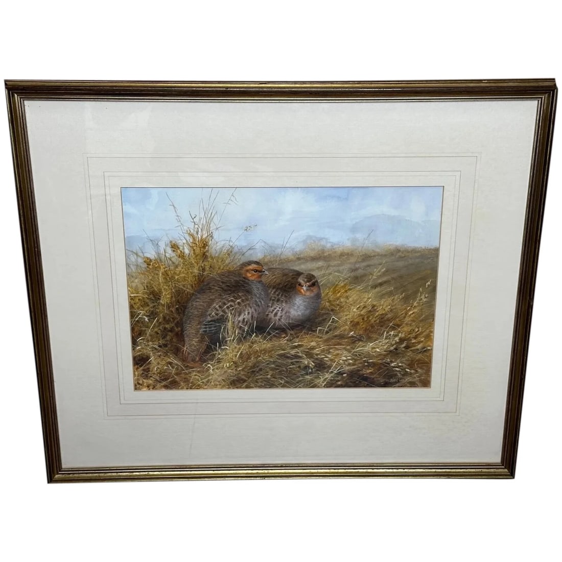Game Birds Grey Partridges – New Forest Moor In the Manner of Archibald Thorburn
