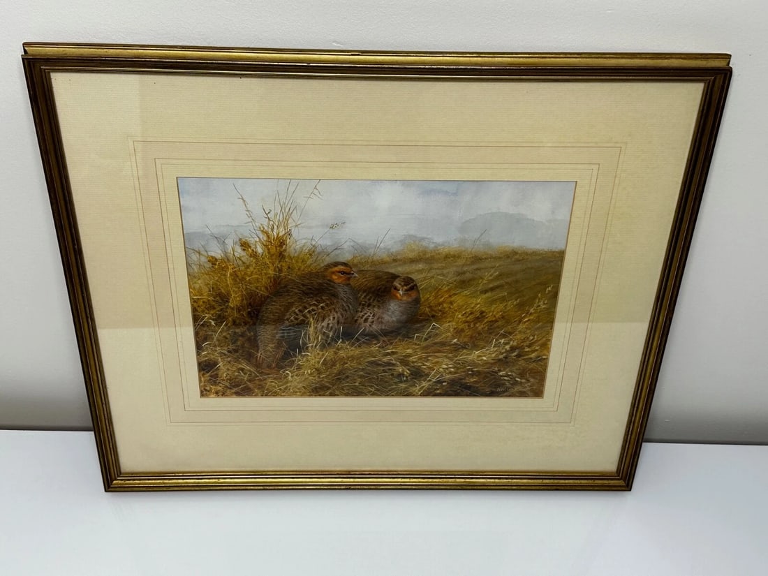 Game Birds Grey Partridges – New Forest Moor In the Manner of Archibald Thorburn - 3
